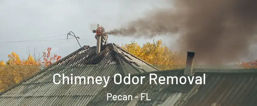 Chimney Odor Removal Pecan - FL