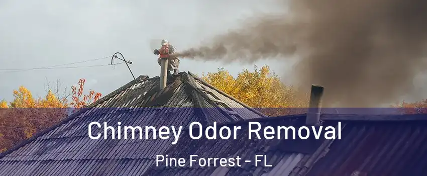 Chimney Odor Removal Pine Forrest - FL