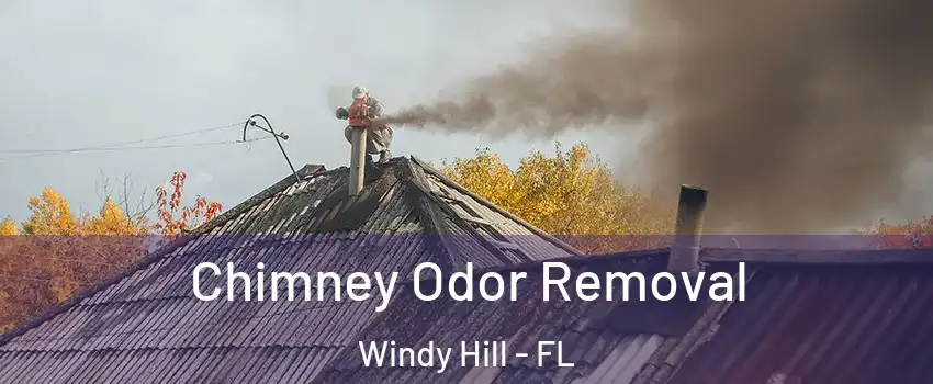 Chimney Odor Removal Windy Hill - FL