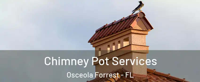 Chimney Pot Services Osceola Forrest - FL