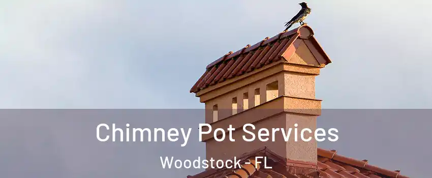 Chimney Pot Services Woodstock - FL