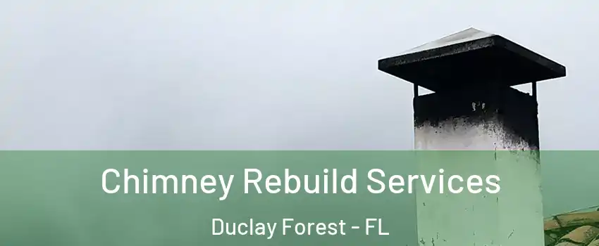 Chimney Rebuild Services Duclay Forest - FL