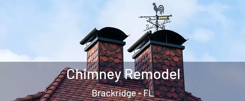 Chimney Remodel Brackridge - FL