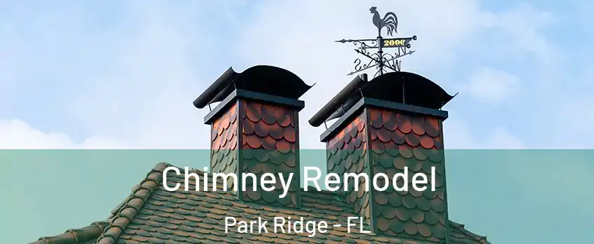 Chimney Remodel Park Ridge - FL