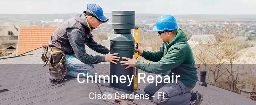 Chimney Repair Cisco Gardens - FL