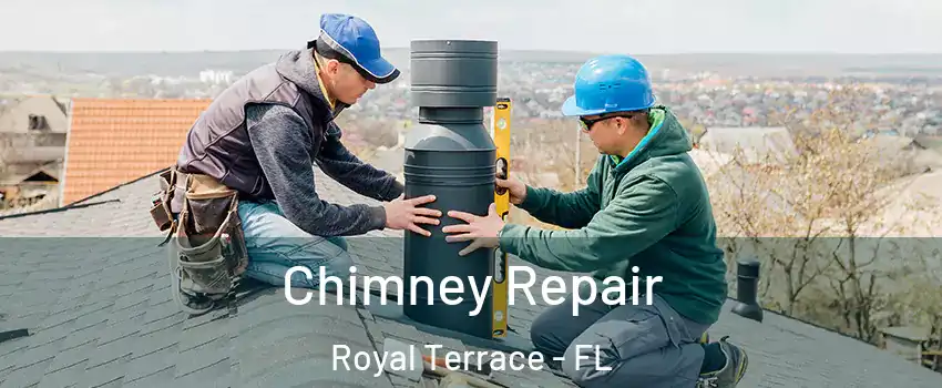 Chimney Repair Royal Terrace - FL