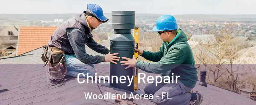 Chimney Repair Woodland Acrea - FL