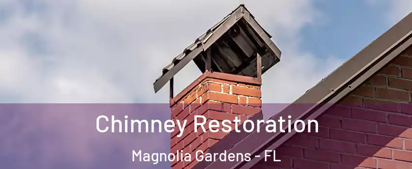 Chimney Restoration Magnolia Gardens - FL