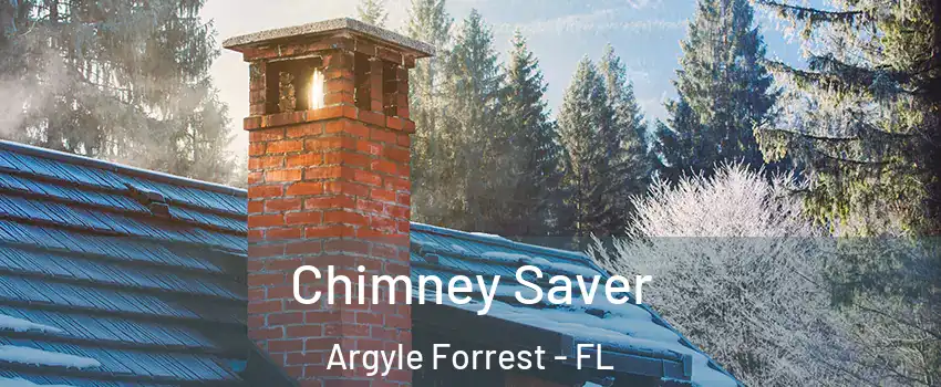 Chimney Saver Argyle Forrest - FL