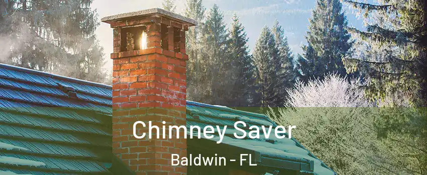 Chimney Saver Baldwin - FL