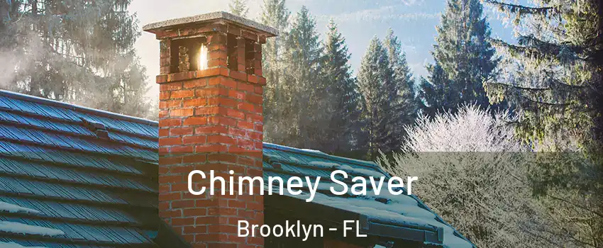 Chimney Saver Brooklyn - FL