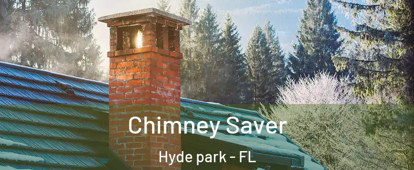 Chimney Saver Hyde park - FL