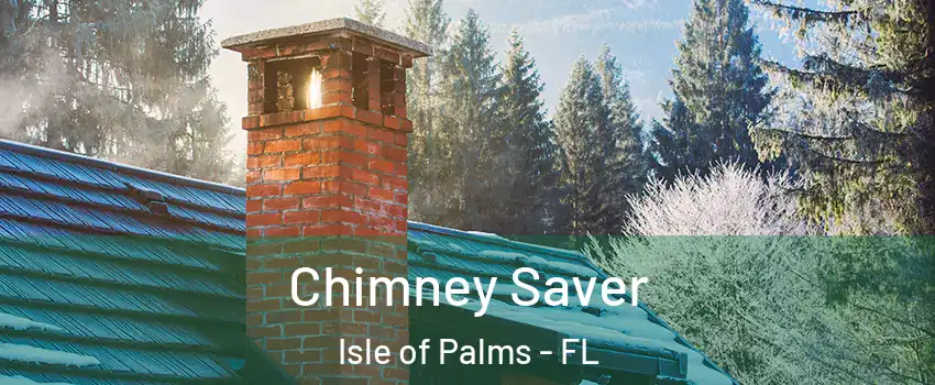 Chimney Saver Isle of Palms - FL