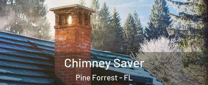 Chimney Saver Pine Forrest - FL