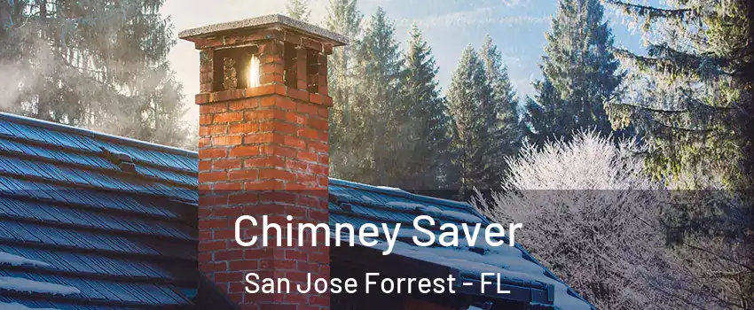 Chimney Saver San Jose Forrest - FL