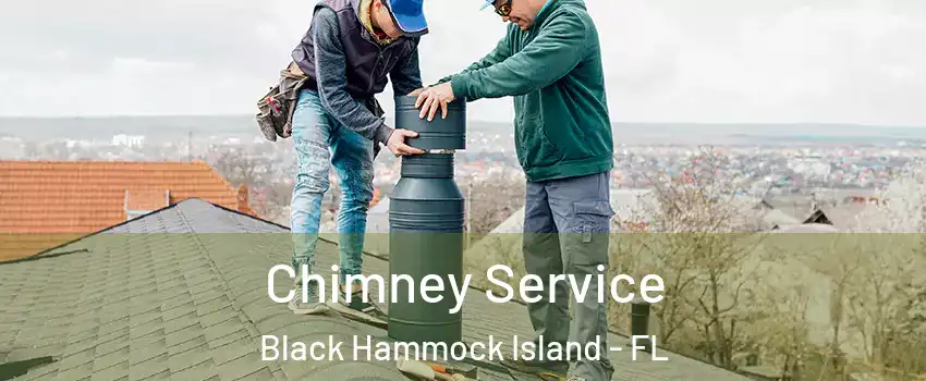 Chimney Service Black Hammock Island - FL