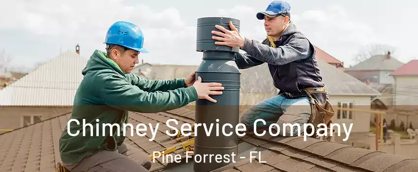 Chimney Service Company Pine Forrest - FL