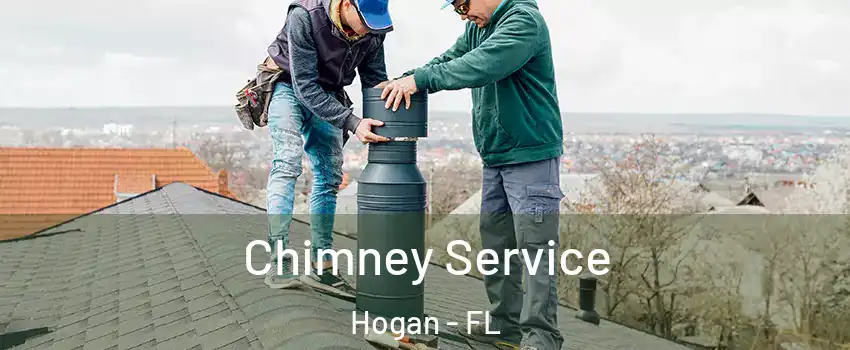 Chimney Service Hogan - FL