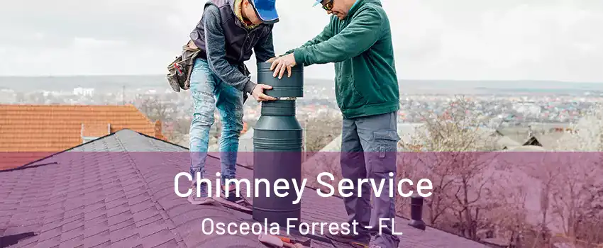 Chimney Service Osceola Forrest - FL