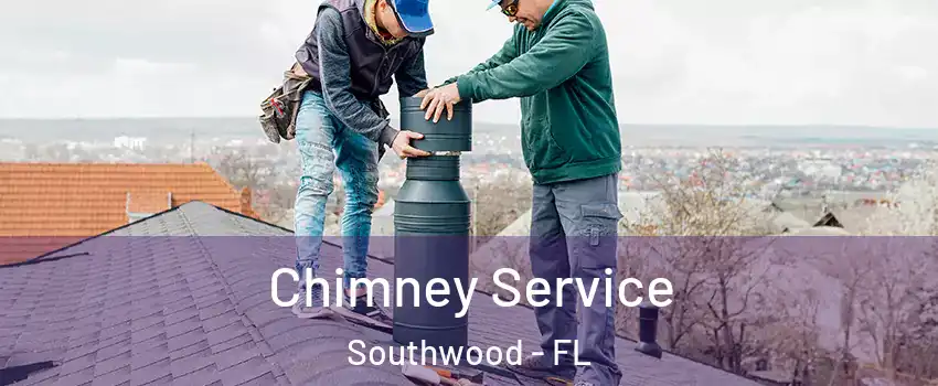 Chimney Service Southwood - FL