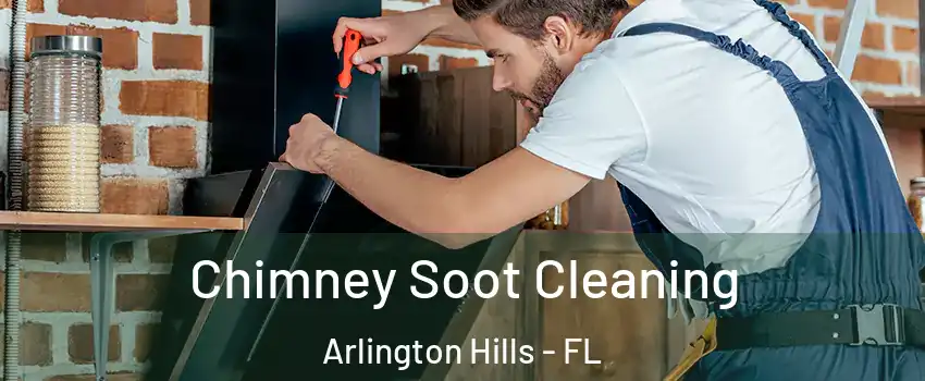 Chimney Soot Cleaning Arlington Hills - FL