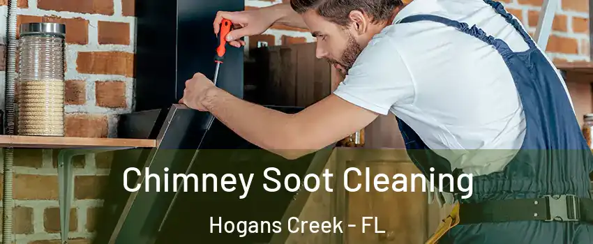 Chimney Soot Cleaning Hogans Creek - FL