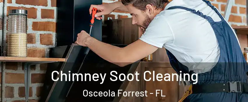 Chimney Soot Cleaning Osceola Forrest - FL