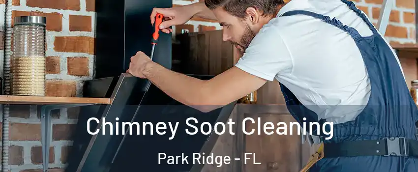 Chimney Soot Cleaning Park Ridge - FL