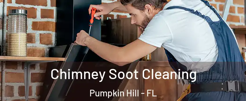 Chimney Soot Cleaning Pumpkin Hill - FL