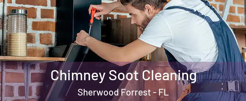 Chimney Soot Cleaning Sherwood Forrest - FL