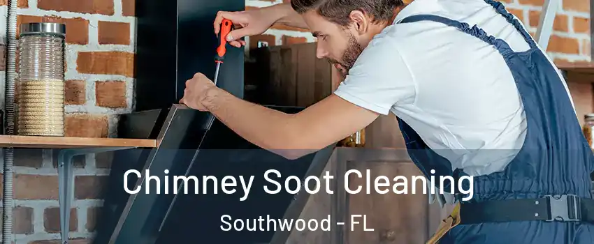 Chimney Soot Cleaning Southwood - FL