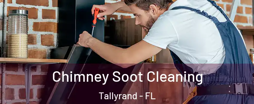 Chimney Soot Cleaning Tallyrand - FL