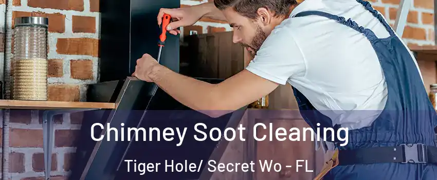 Chimney Soot Cleaning Tiger Hole/ Secret Wo - FL