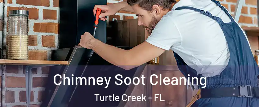 Chimney Soot Cleaning Turtle Creek - FL