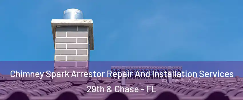 Chimney Spark Arrestor Repair And Installation Services 29th & Chase - FL