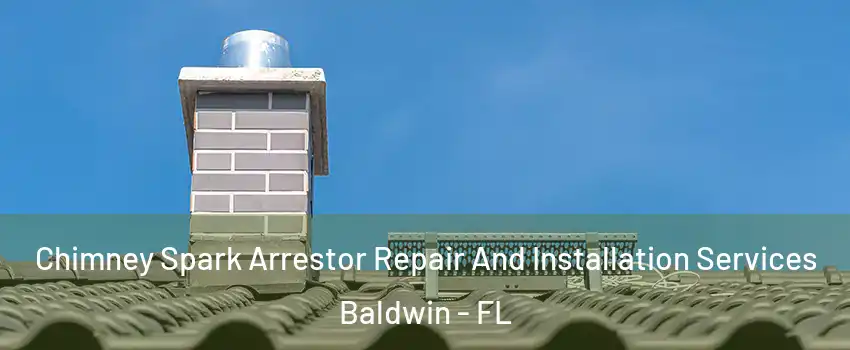 Chimney Spark Arrestor Repair And Installation Services Baldwin - FL