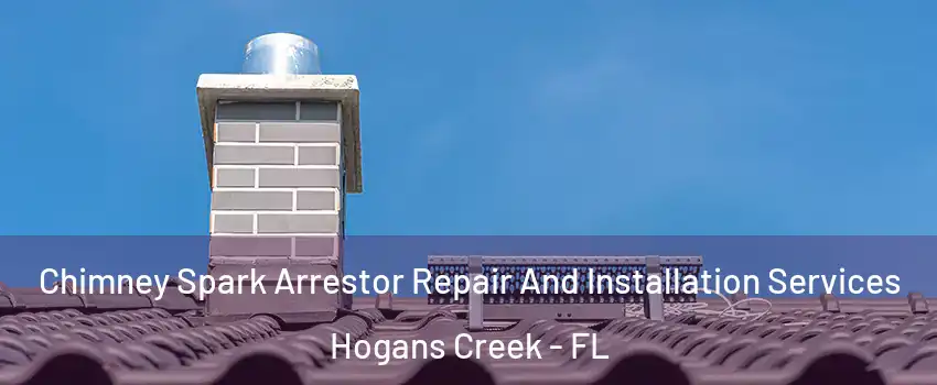 Chimney Spark Arrestor Repair And Installation Services Hogans Creek - FL