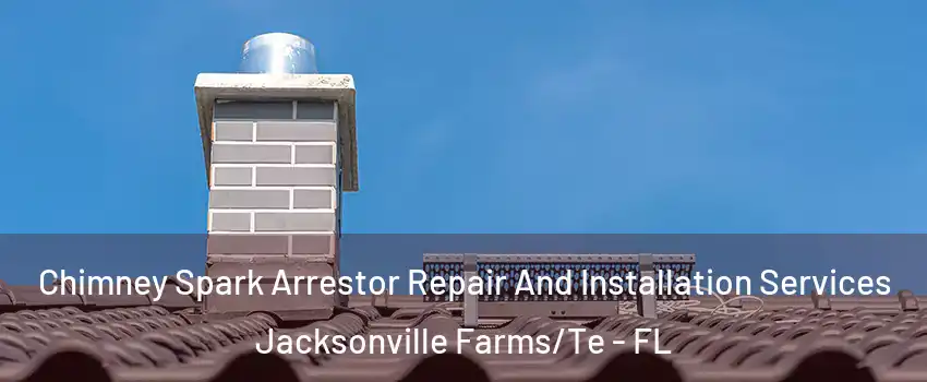 Chimney Spark Arrestor Repair And Installation Services Jacksonville Farms/Te - FL