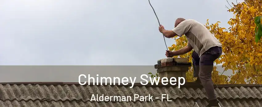 Chimney Sweep Alderman Park - FL