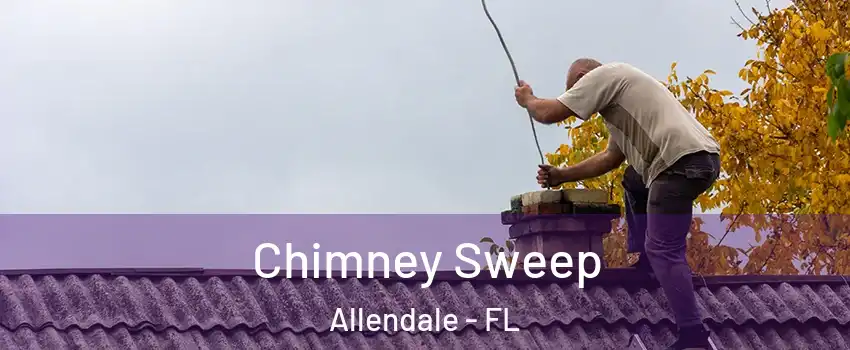 Chimney Sweep Allendale - FL