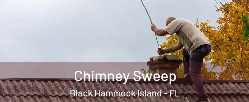 Chimney Sweep Black Hammock Island - FL