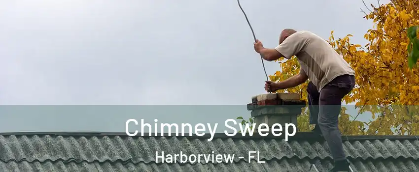 Chimney Sweep Harborview - FL