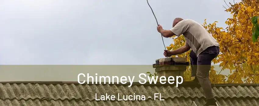 Chimney Sweep Lake Lucina - FL