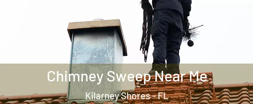 Chimney Sweep Near Me Kilarney Shores - FL