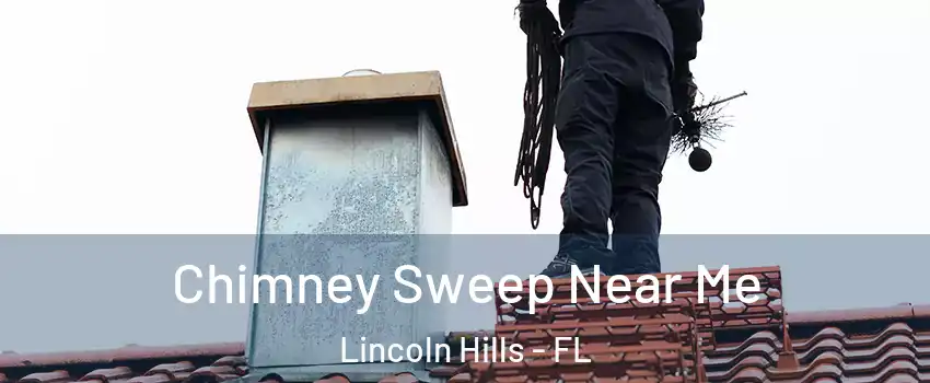 Chimney Sweep Near Me Lincoln Hills - FL