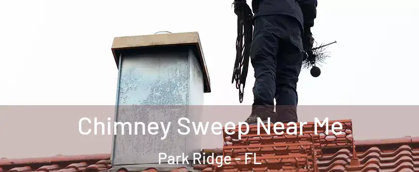 Chimney Sweep Near Me Park Ridge - FL