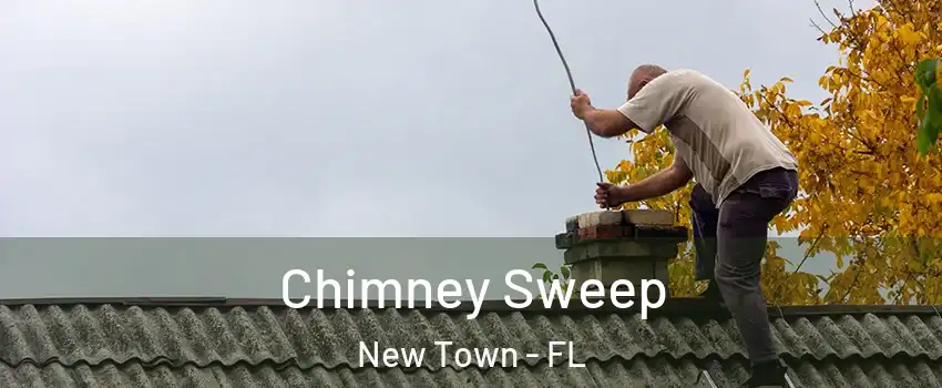 Chimney Sweep New Town - FL