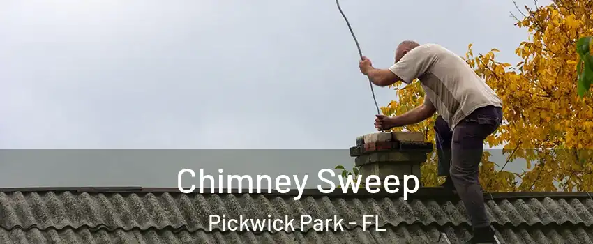 Chimney Sweep Pickwick Park - FL