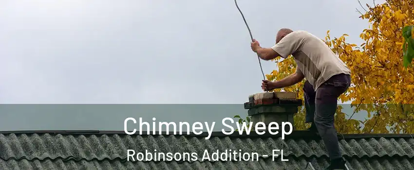 Chimney Sweep Robinsons Addition - FL