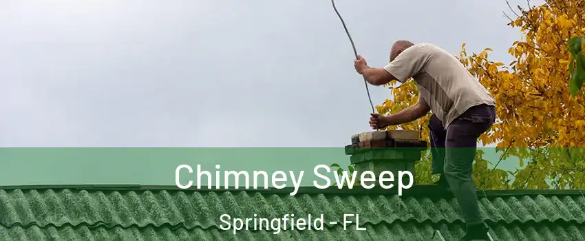 Chimney Sweep Springfield - FL